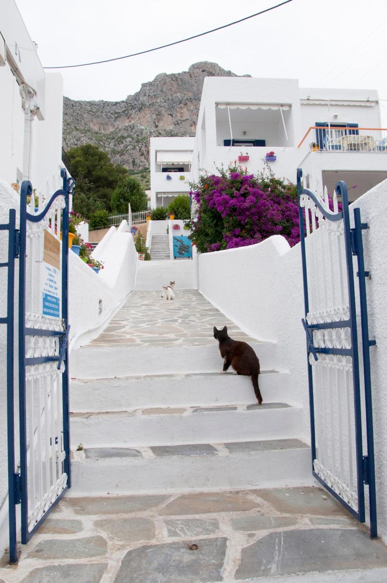 Tatsis Apartments Masouri Exterior foto
