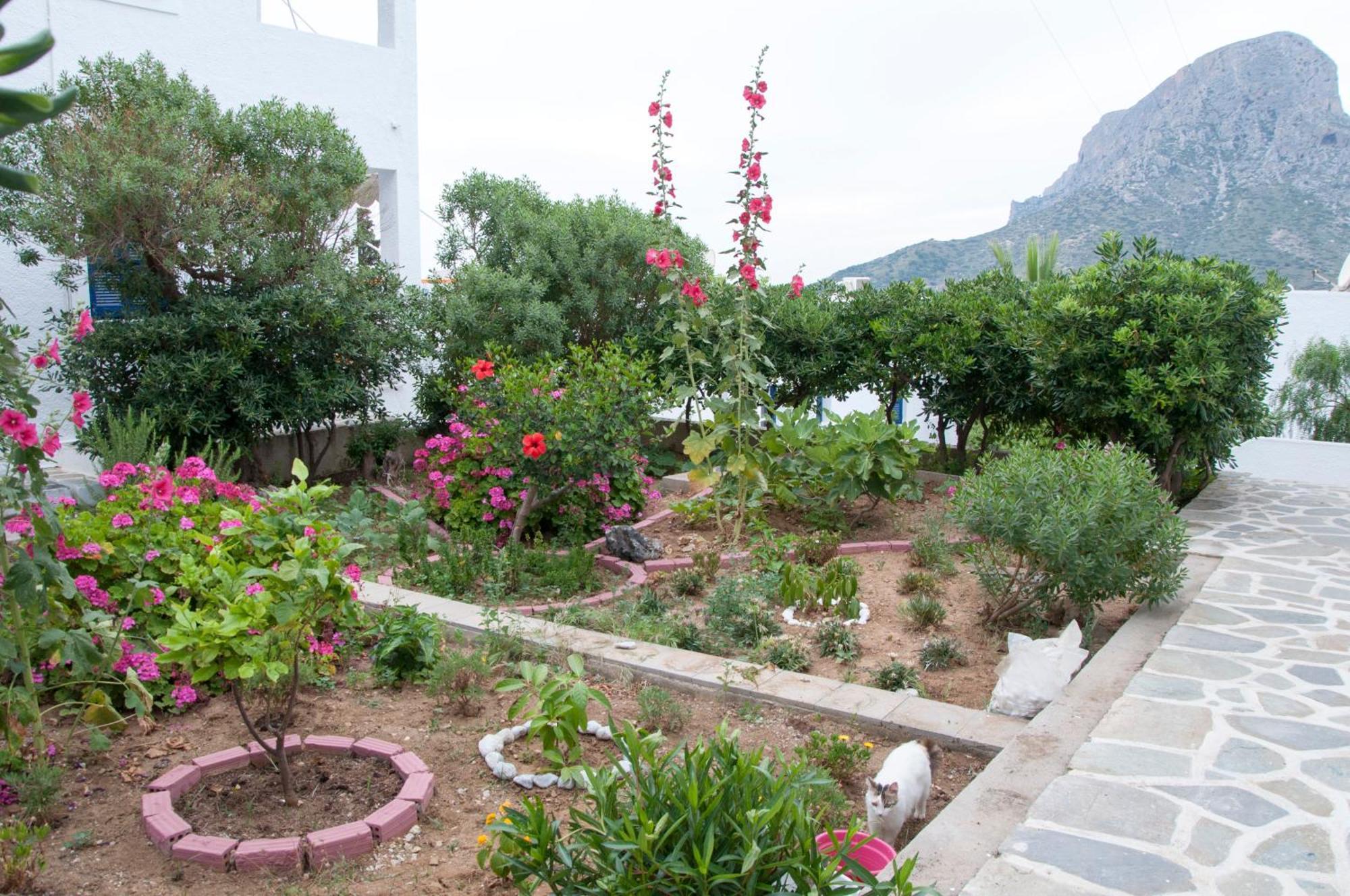 Tatsis Apartments Masouri Quarto foto
